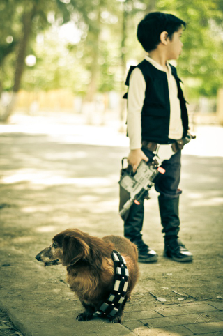Illustration for article titled The most adorable Han Solo and Chewbacca are this kid and his dog